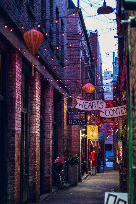 Lorem Ipsum Is Simply Dummy Text Of The Printing And Typesetting Industry.